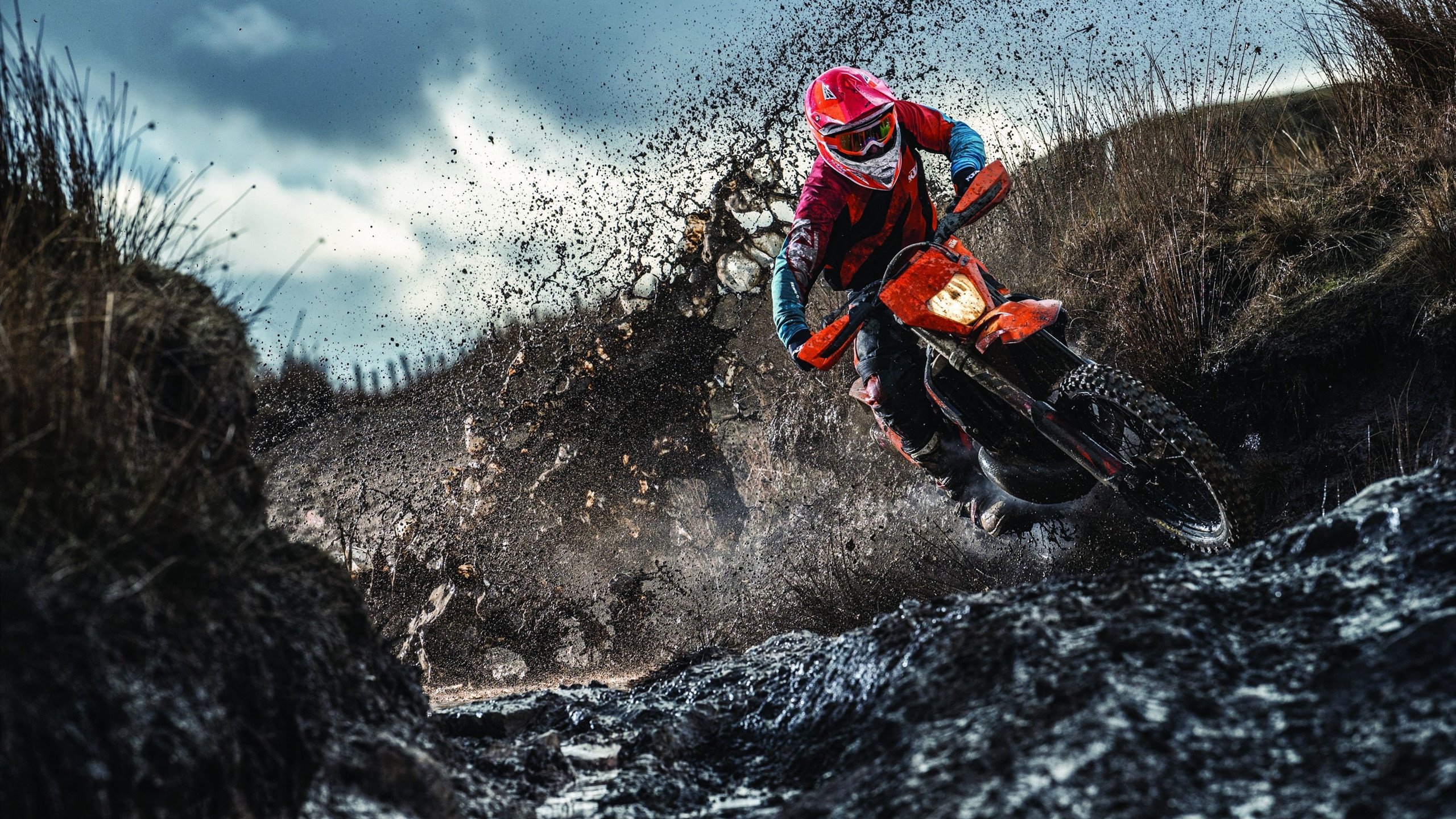 历史上的“黑马”球队：他们的故事令人难忘，黑马球员