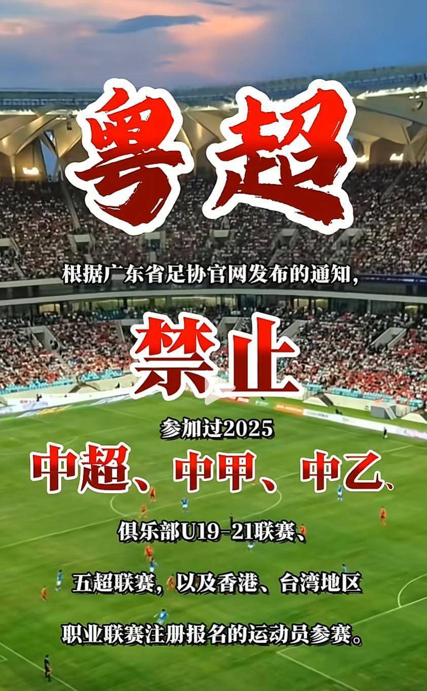 关于某球员因不当言论遭禁赛，舆论两极分化的信息